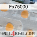 Fx75000 24